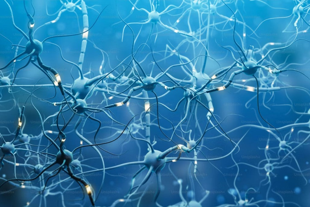 The Ultimate Guide to Transcranial Direct Current Stimulation (tDCS) for Peak Performance
