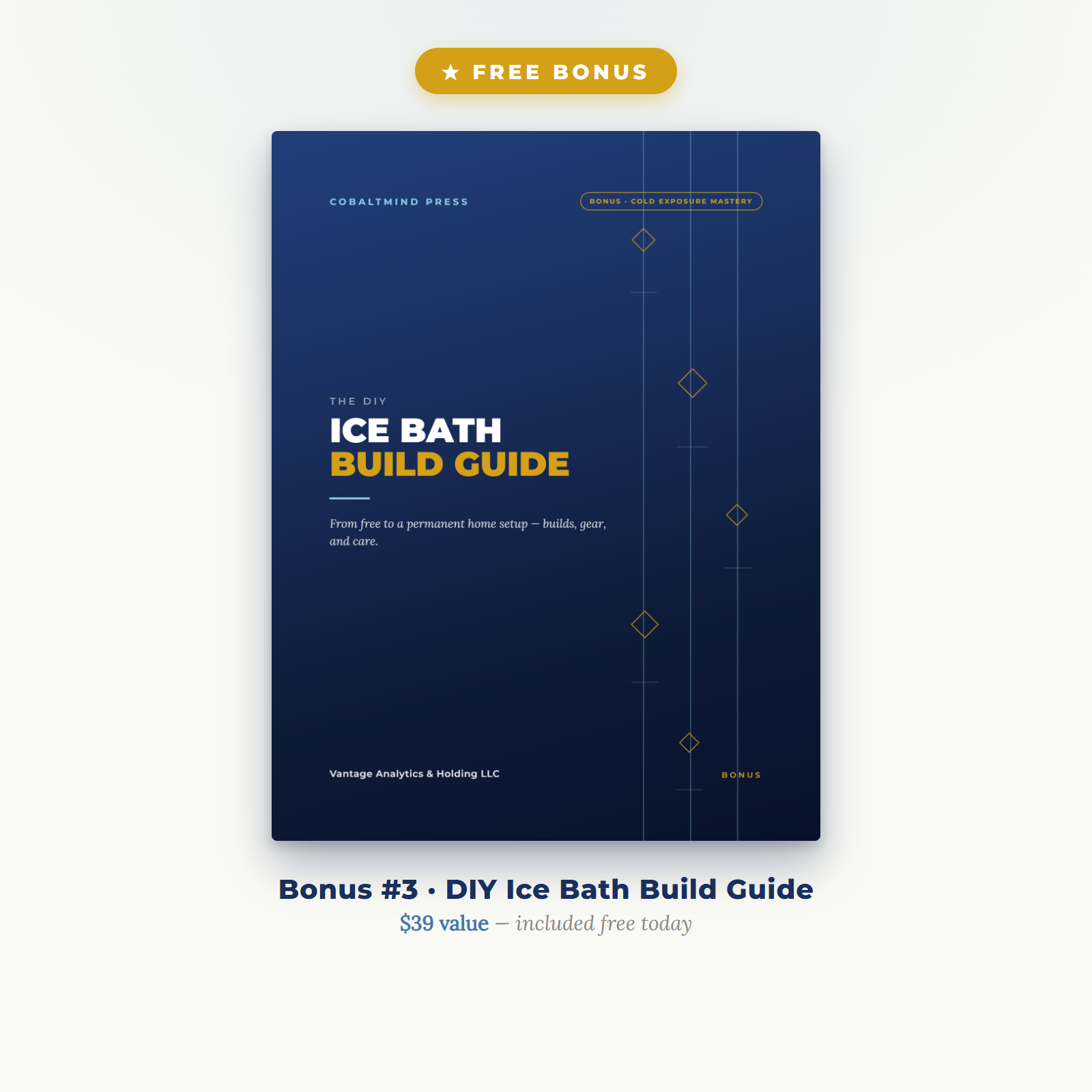 Free Bonus 3 — DIY Ice Bath Build Guide